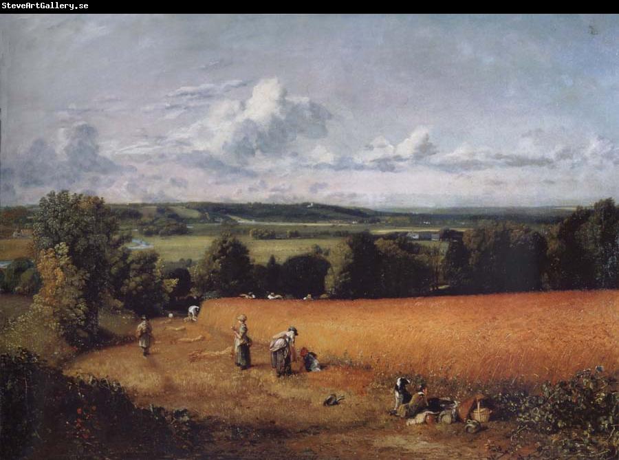 John Constable The wheatfield